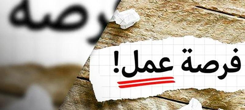 وزارة العمل تعلن عن فرص توظيف جديدة في السويس.. التقديم متاح الآن