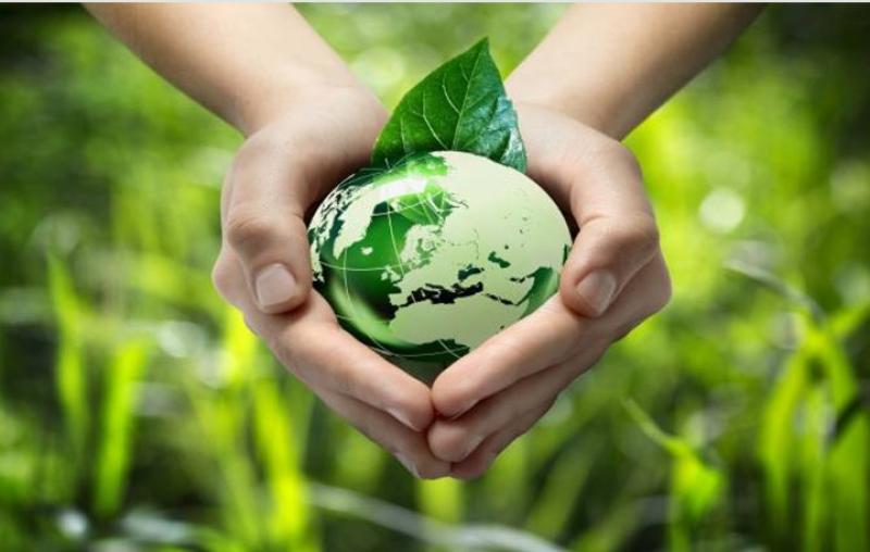 الصناعة تبحث خطة إنشاء مصنع للأمونيا الخضراء باستثمارات 5 مليارات دولار