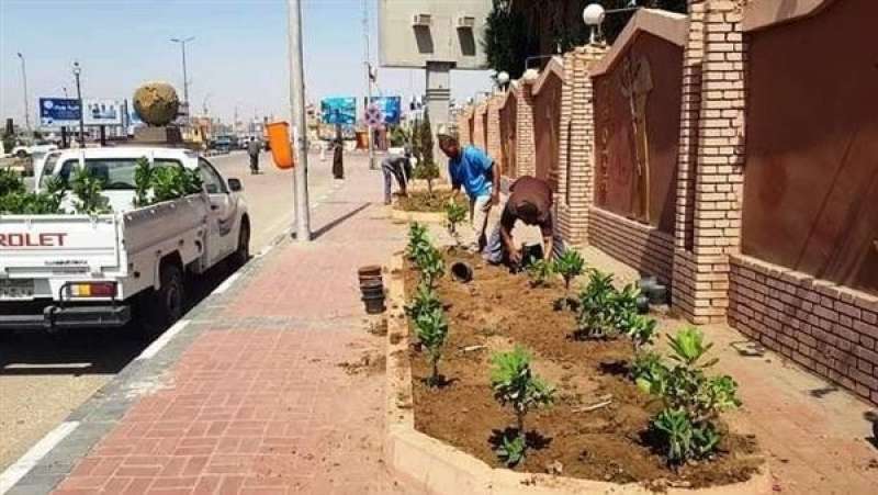استمرار تنفيذ المبادرة الرئاسية بتوريد وزراعة 80 مليون شجرة.. «تفاصيل»