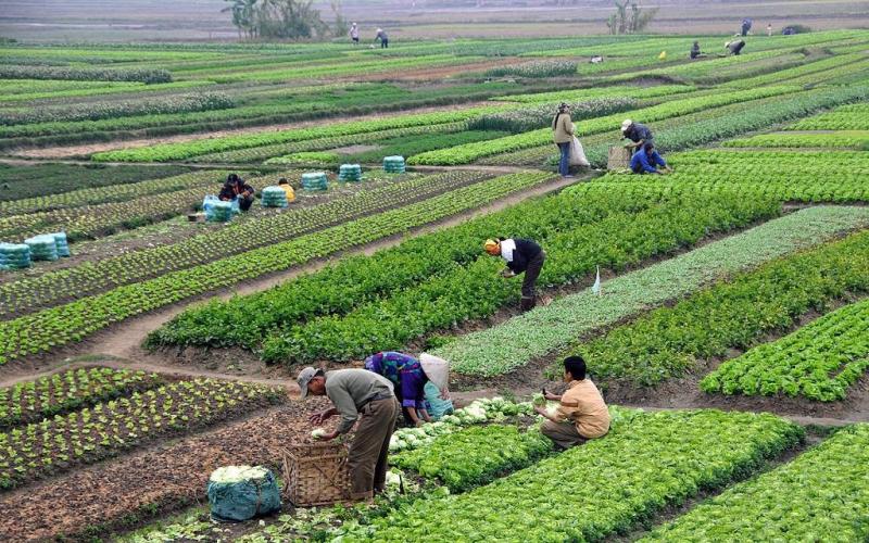 تعرف على أكبر مشروعات البنية التحتية التنموية للتطوير الشامل لقرى الريف المصري