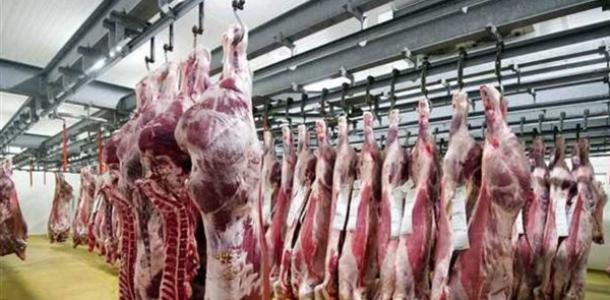 طوال العيد.. فتح المجازر الحكومية بالقاهرة مجانا لاستقبال أضاحي المواطنين