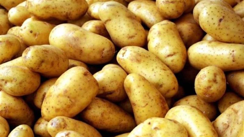 وزارة التجارة تقرر وقف 6 شركات عن تصدير البطاطس لمدة تصل لـ 3 سنوات