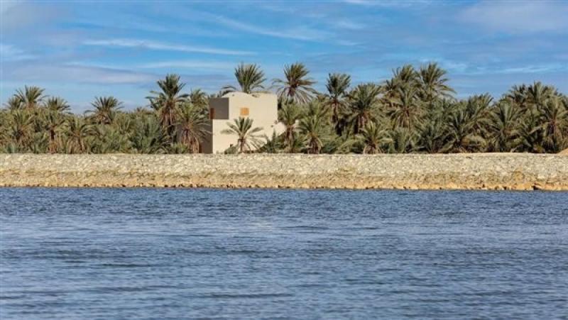 مصر تتعاون مع إسبانيا في تحديث إدارة الموارد المائية بقطاع الزراعة