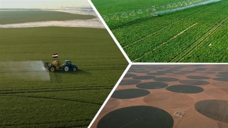 الرئيس السيسي: مشروع «الدلتا الجديدة» يهدف إلى إحداث إضافة نوعية للرقعة الزراعية
