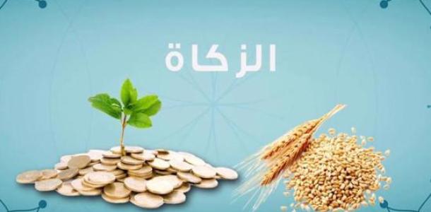 مقدار زكاة الفطر 2026 وآخر موعد لإخراجها.. الإفتاء توضح