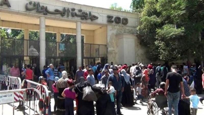وزير الزراعة: افتتاح حديقة حيوان الجيزة رسميًا في سبتمبر المقبل بعد تطوير شامل