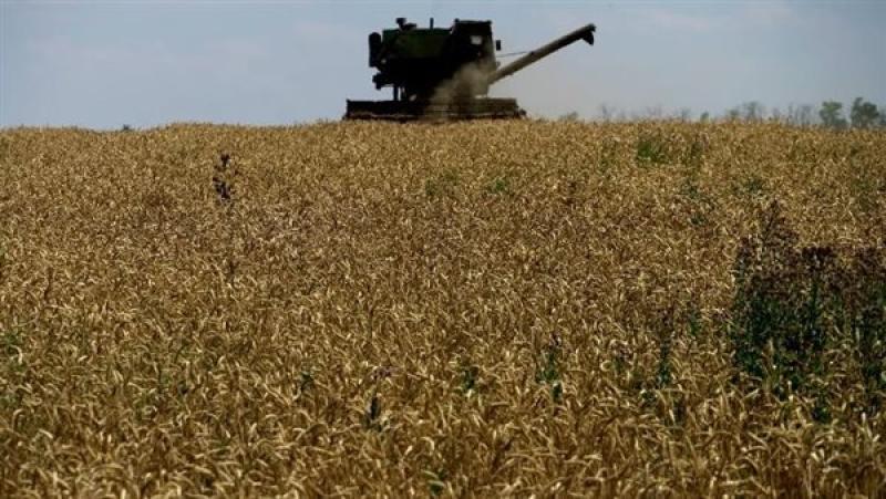 أوكرانيا: الضربات الجوية الروسية دمرت 180 ألف طن حبوب في 9 أيام