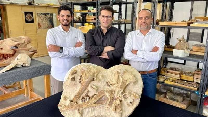 مصر تكتشف أحد أقدم الحيتان في إفريقيا.. اعرف التفاصيل كاملة