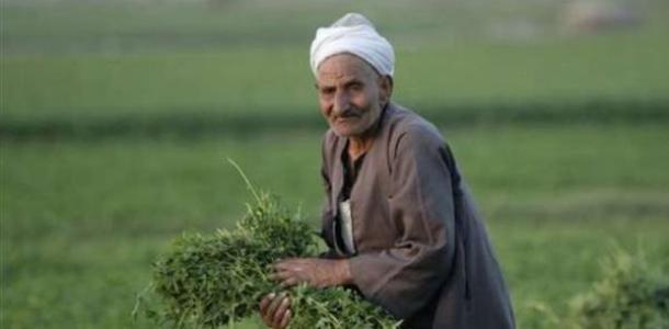 مصر تؤكد أهمية الشراكة مع برنامج الأغذية العالمي في زيادة دخل الفلاحين