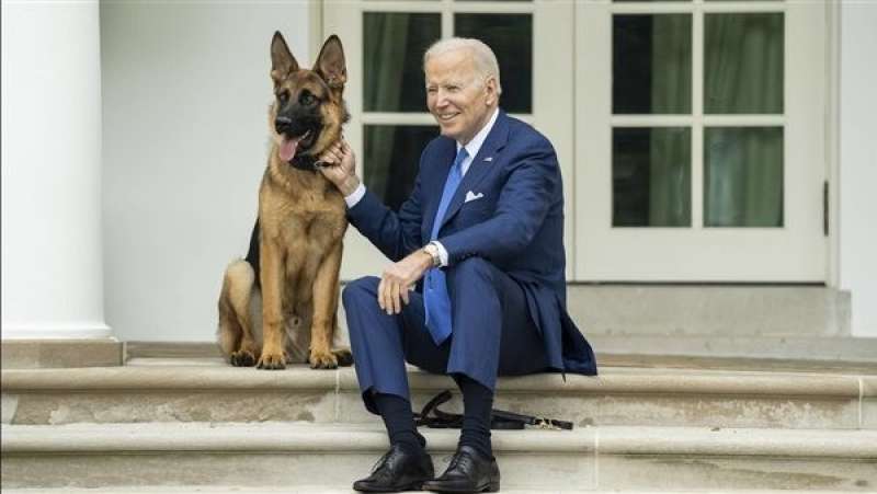 «كوماندر الشرس».. طرد كلب بايدن من البيت الأبيض