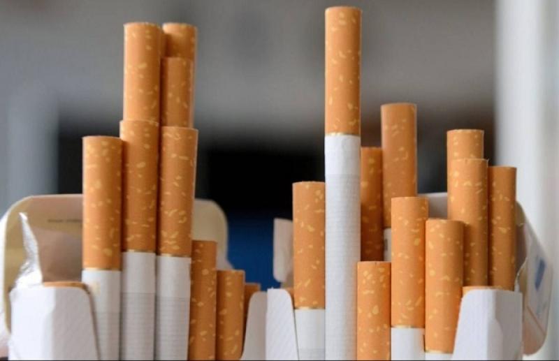 «شعبة السجائر» تلزم الشركات بإرسال كشف بأسماء وعناوين التجار لحماية المستهلك