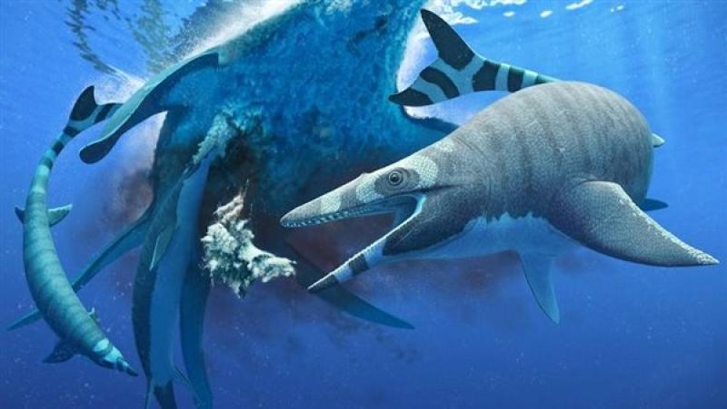 اكتشاف بقايا زاحف بحري بالوادي الجديد عمره أكثر من 65 مليون سنة