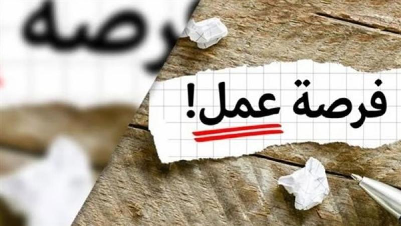 وظائف شهر نوفمبر.. فرص عمل في وزارتي المالية والعدل ومفاجأة في السكة حديد والمترو