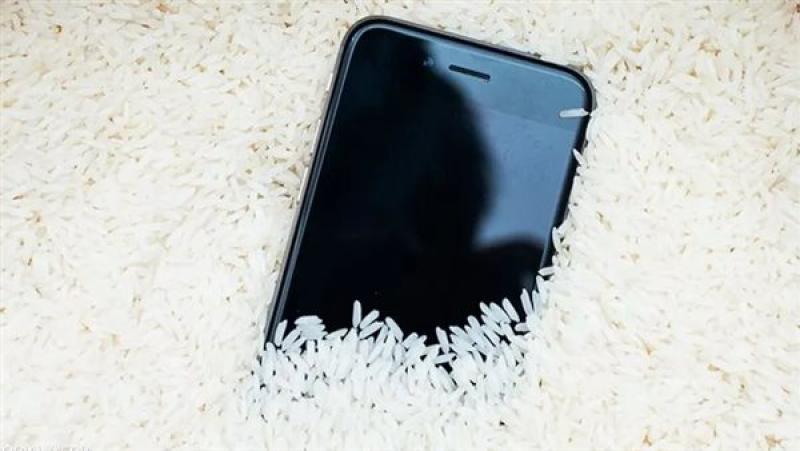 «استخدام الأرز لتجفيف الهواتف» خرافة أم حقيقة؟.. «أبل» توضح