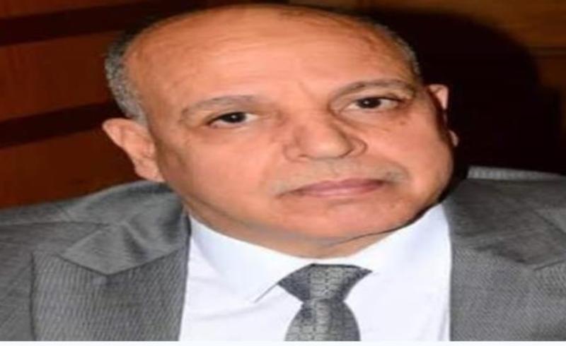 نائب رئيس حزب الغد: الشراكة المصرية الإماراتية تعزز الاقتصاد المصري