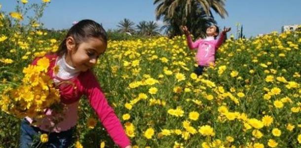 موعد إجازة شم النسيم 2026 في مصر.. أبرز العطلات الرسمية المتبقية