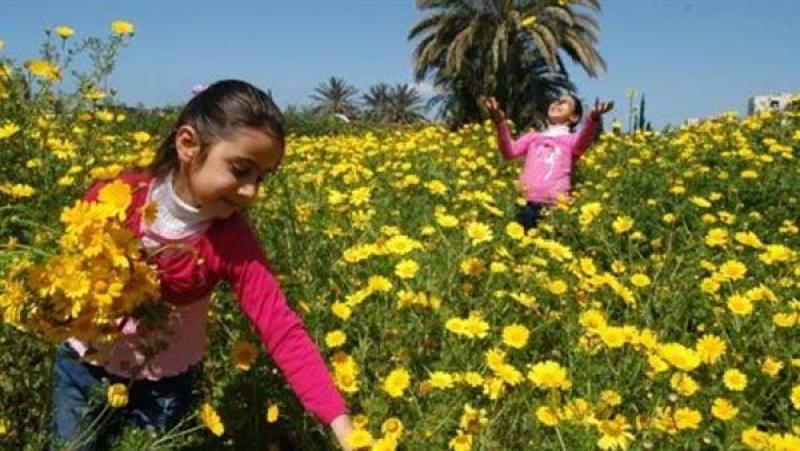 موعد إجازة شم النسيم 2026 في مصر.. أبرز العطلات الرسمية المتبقية