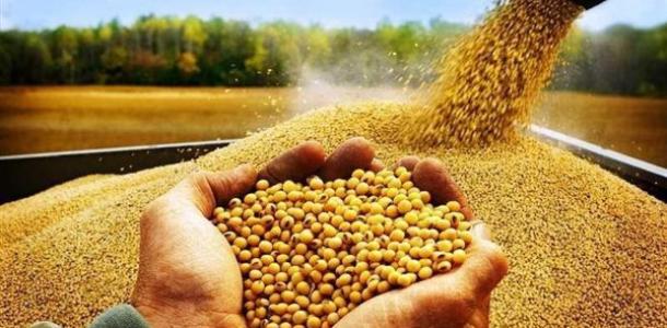 «الزراعة» تعلن التحفظ على 89 طن أعلاف وإحالة عدد من المخالفات للنيابة العامة