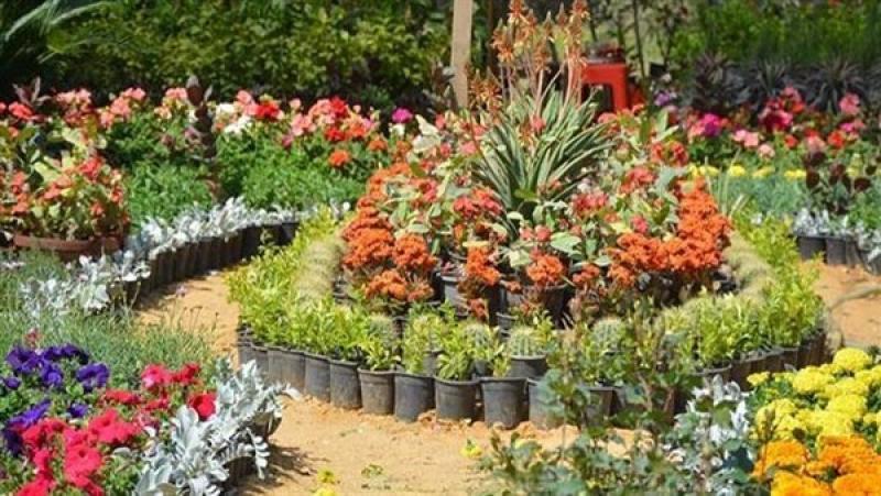 اقترب شم النسيم.. إليك قائمة الإجازات الرسمية المتبقية في 2026