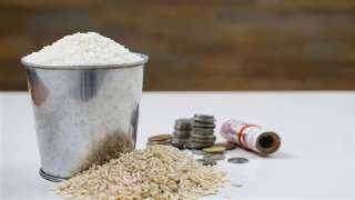 حكم زكاة الفطر في الإسلام.. هل هي فرض أم سنة؟