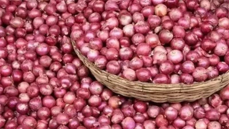 «الزراعة» تعلن استقبال أسواق المملكة العربية السعودية للبصل المصري