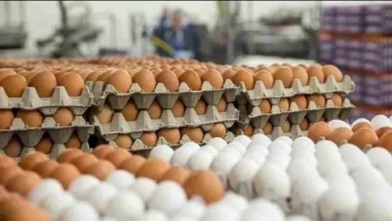 125 جنيهًا للكرتونة.. شعبة الدواجن تؤكد استقرار أسعار البيض في السوق