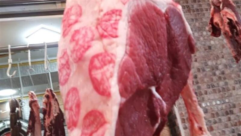 الكيلو بـ220 جنيهًا.. أسعار اللحوم في منافذ التموين والزراعة اليوم