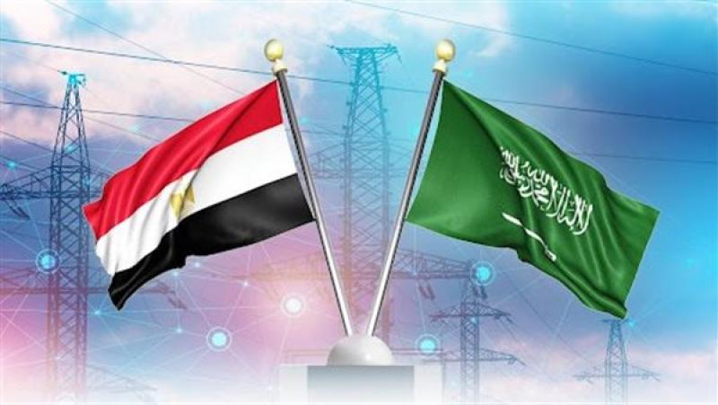 مباحثات بين «مدبولي» ووزير الكهرباء حول مشروع الربط الكهربائي مع السعودية
