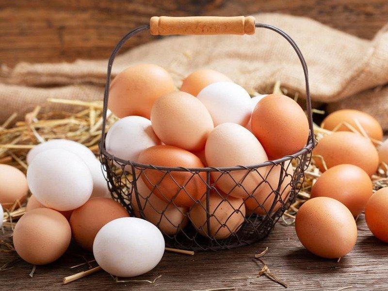 سعر كرتونة البيض اليوم الجمعة بالسوق.. بـ110 جنيه الأبيض