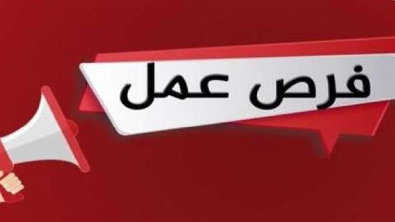 55 ألف جنيه مرتب.. التخصصات المطلوبة لفرص العمل للمصريين في اليونان