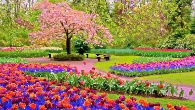 وداعًا للشتاء.. فصل الربيع يبدأ رسميًا اليوم ويستمر 92 يومًا