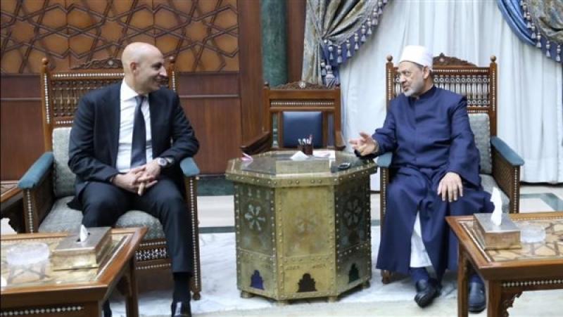 شيخ الأزهر يقترح تضمين «وثيقة الأخوة الإنسانية» بالمناهج الدراسية ووزير التعليم يرحب