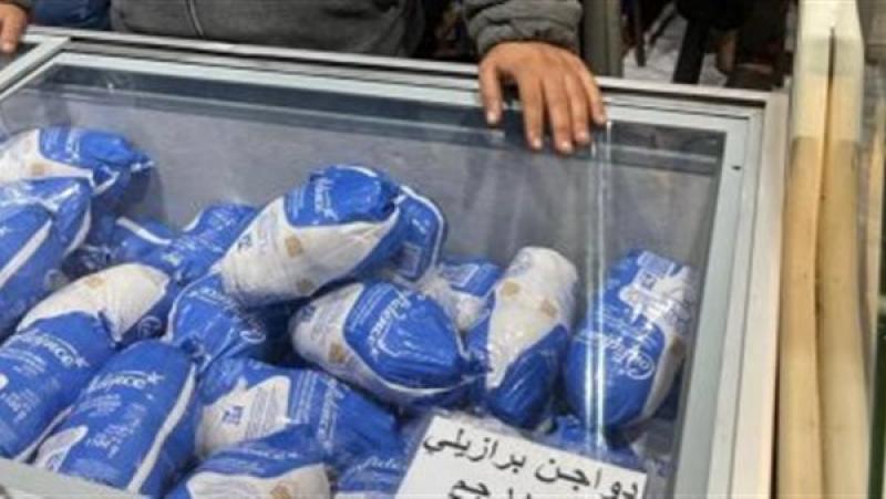 وزير التموين: ضخ الدواجن المجمدة بالمجمعات الاستهلاكية بـ 125 جنيهًا للكيلو