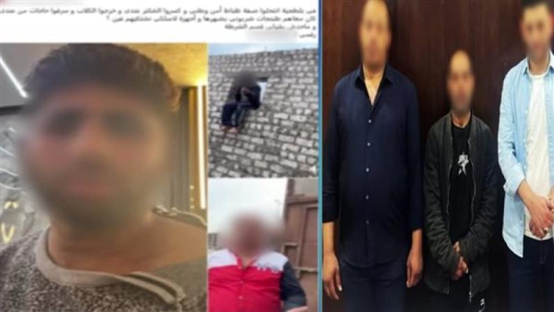 «شرطة مزيفة».. حقيقة اقتحام قوة أمنية قطعة أرض مخصصة لإيواء الحيوانات الضالة بالمرج