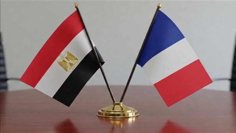 مصر وفرنسا تتفقان على تعزيز التعاون في إطار مجموعتي العشرين والسبع