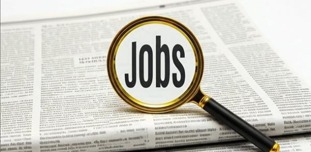 «فرص عمل برواتب تصل لـ9000 جنيه».. وزارة العمل تفتح باب التقديم لـ255 وظيفة جديدة