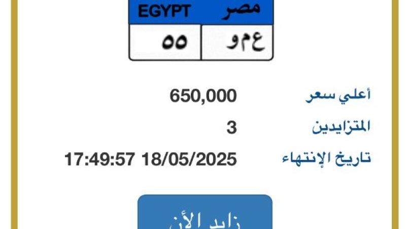 وصل سعرها لـ 650 ألف جنيه.. لوحة سيارة تحمل أحرف «عمو» في مزايدة
