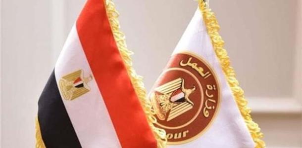 وزارة العمل تعلن عن 510 فرصة عمل بمحافظات الجيزة