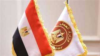 وزارة العمل تعلن عن 510 فرصة عمل بمحافظات الجيزة