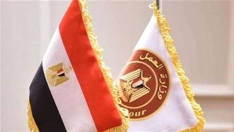 برواتب تصل إلى 25 ألف جنيه.. شروط وطريقة التقديم على وظائف وزارة العمل