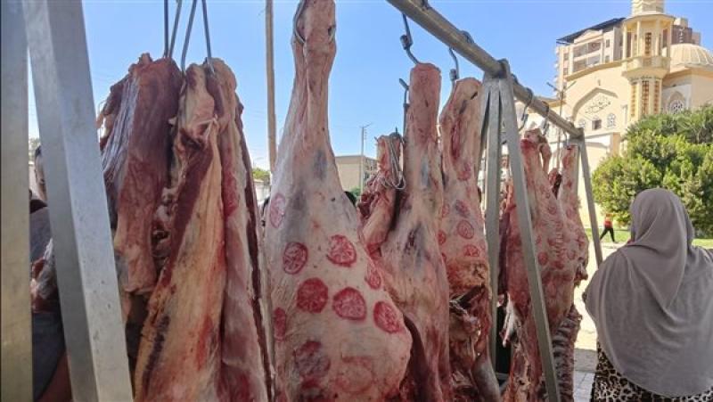 «اقترب عيد الأضحي».. أسعار اللحوم والدواجن في منافذ وزارة التموين