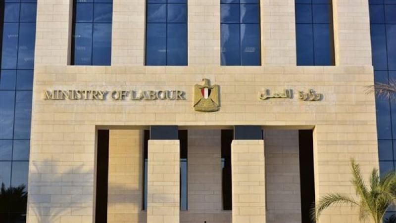 وزارة العمل: المصرى صاحب فيديو التعنيف رفض التعويض رغم تحصيل زملائه حقوقهم