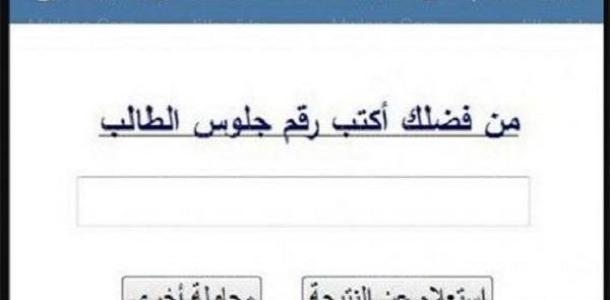 نتيجة الصف السادس الابتدائي 2026 بالرقم القومي.. ترقبوا الإعلان الرسمى