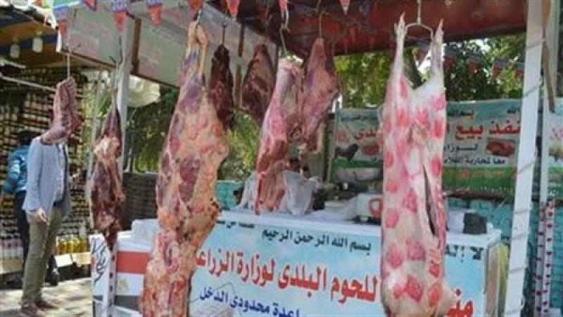 بتخفيضات 20%.. طرح اللحوم البلدية والأضاحي الحية بمنافذ الزراعة استعدادًا لعيد الأضحى