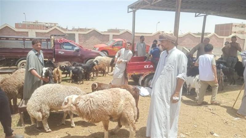 وزير الزراعة يتابع أعمال لجان المرور على شوادر وأماكن بيع الأضاحي