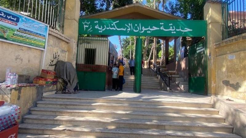 خلال أول يومين بالعيد.. حدائق الحيوان الإقليمية والأسماك بالزمالك استقبلت أكثر من 38 ألف زائر