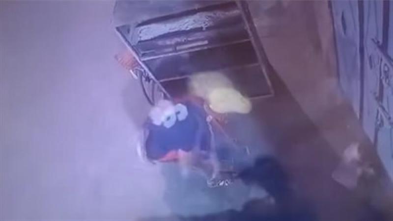 كشف حقيقة تعدي شخص على قطة وإلقاء حجر عليها حتى وفاتها