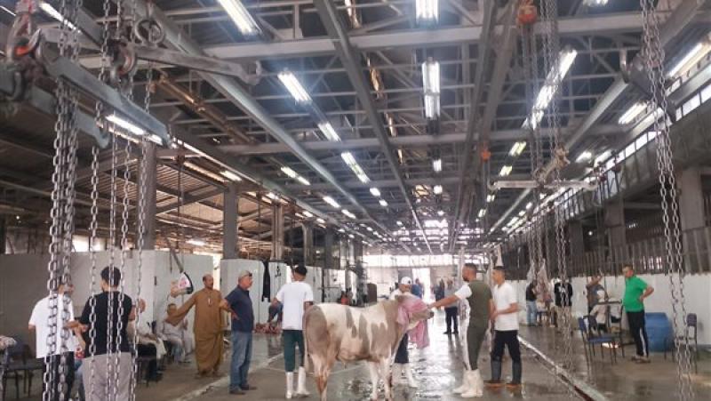 الزراعة: المجازر الحكومية استقبلت أكثر من 34 ألف أضحية في العيد بجميع المحافظات