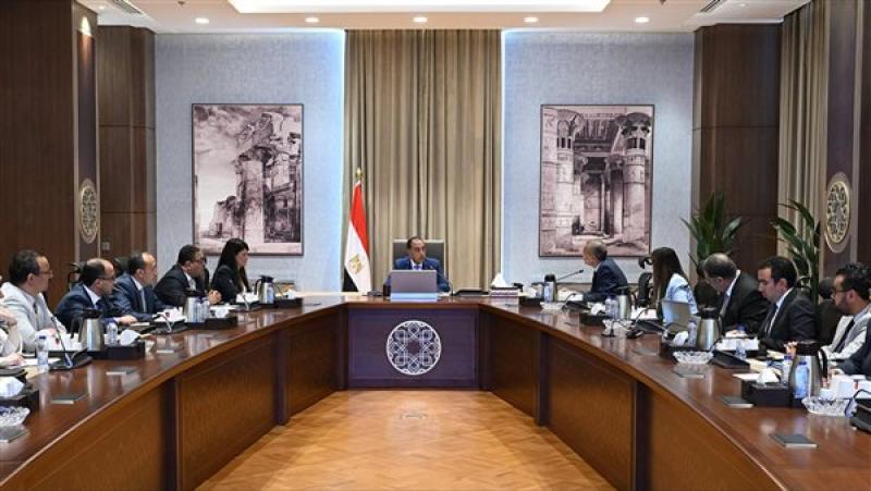 مدبولي يناقش استعدادات تنفيذ التعداد العام للسكان والمنشآت 2027