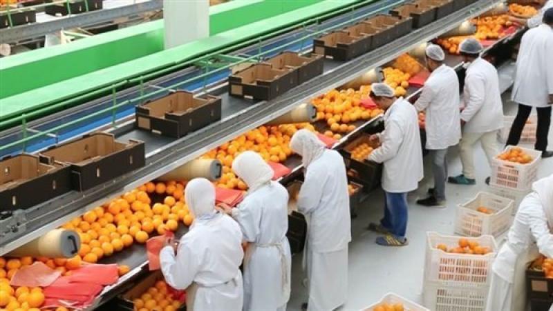 وزير الزراعة: صادراتنا تجاوزت 5.2 مليون طن ونستهدف 10 ملايين بنهاية العام